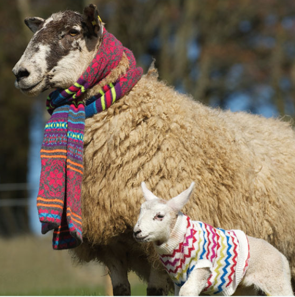 Eribé knitwear - made in Scotland