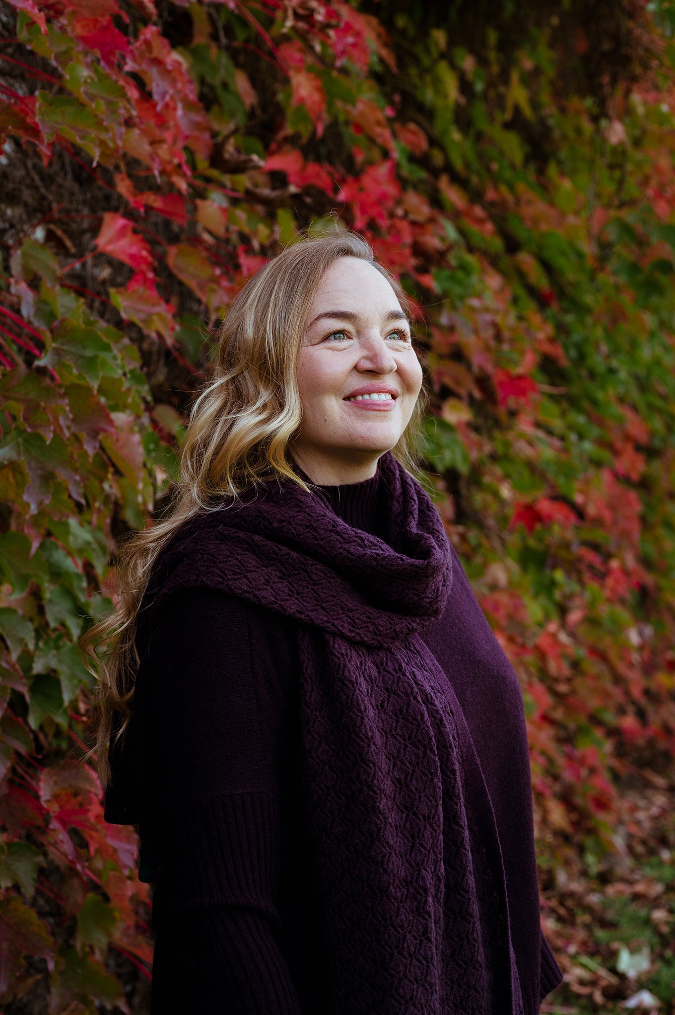 Cashmere wool blend lace work scarf wrap shawl in aubergine.