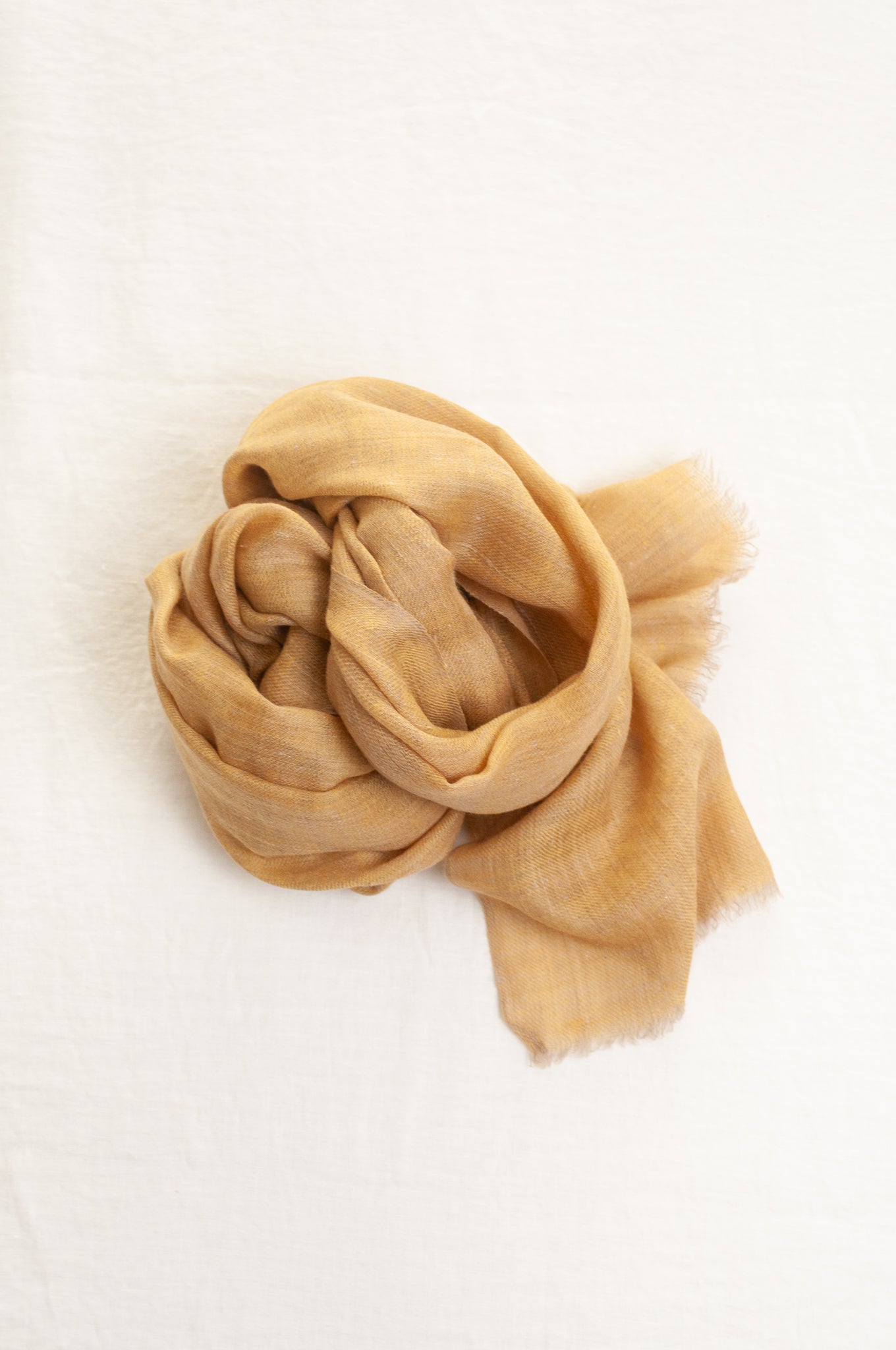 Pure pashmina cashmere wool handwoven scarf in soft gold.