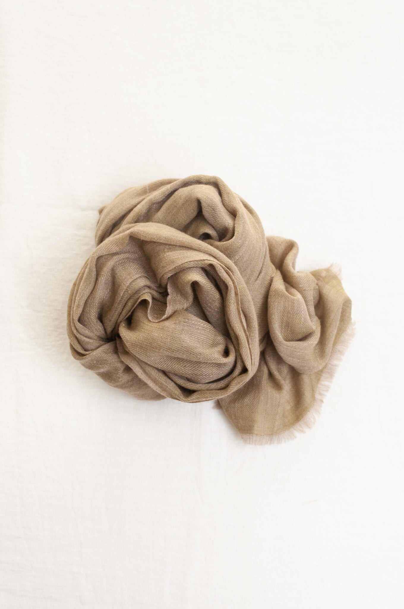 Pure pashmina cashmere wool handwoven scarf in soft olive taupe.