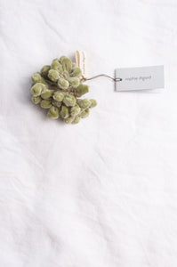 Sophie Digard velour flower jonquille brooch in soft sage green.