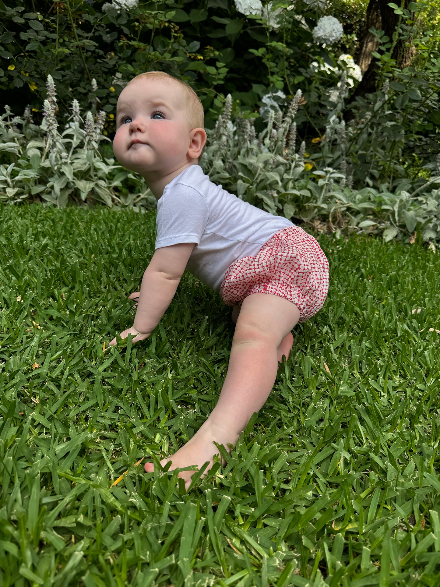 Juni Kids pure cotton blockprint baby toddler bloomers in red on white dot pattern.