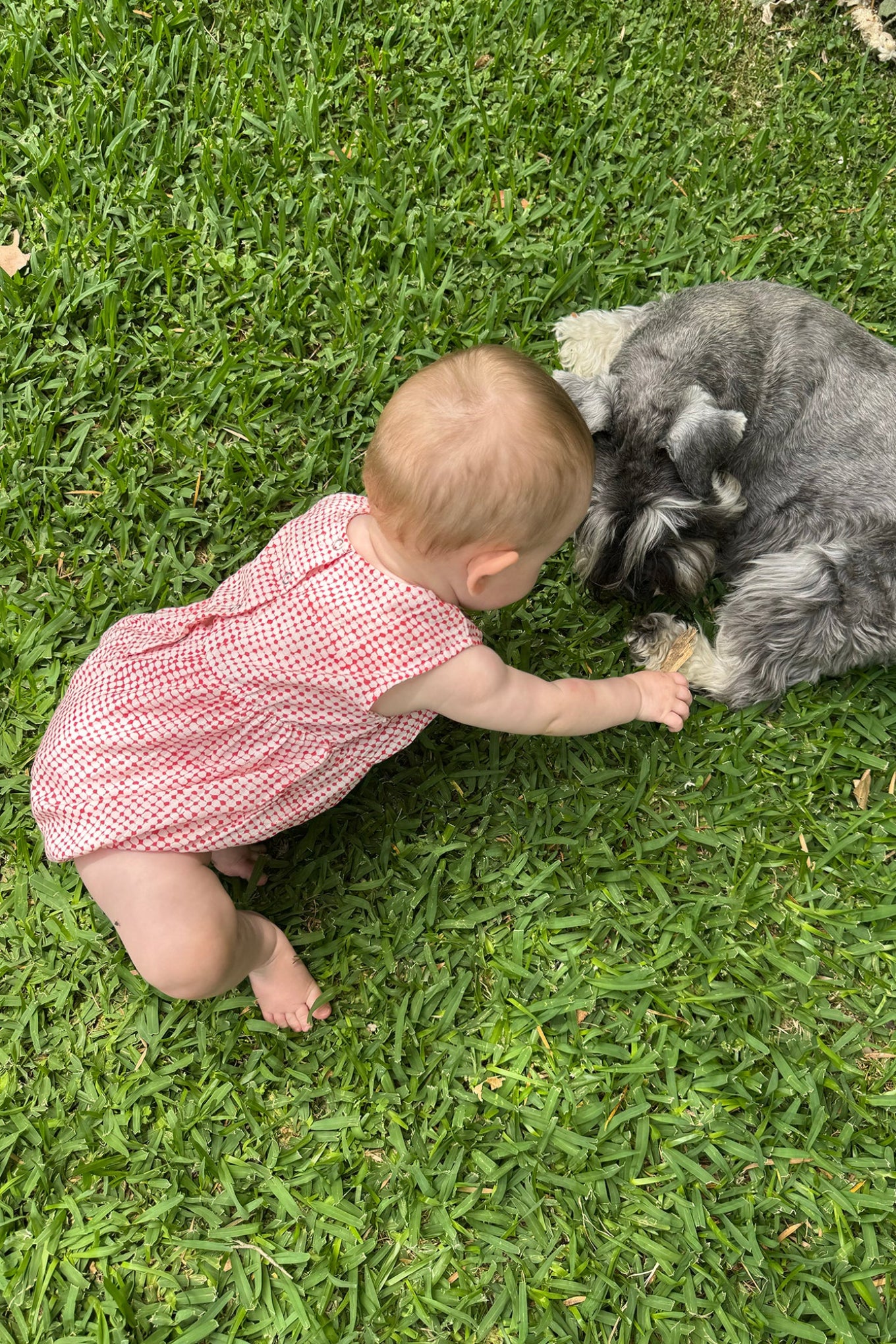 Juni Kids pure cotton blockprint baby romper in red dots on white.