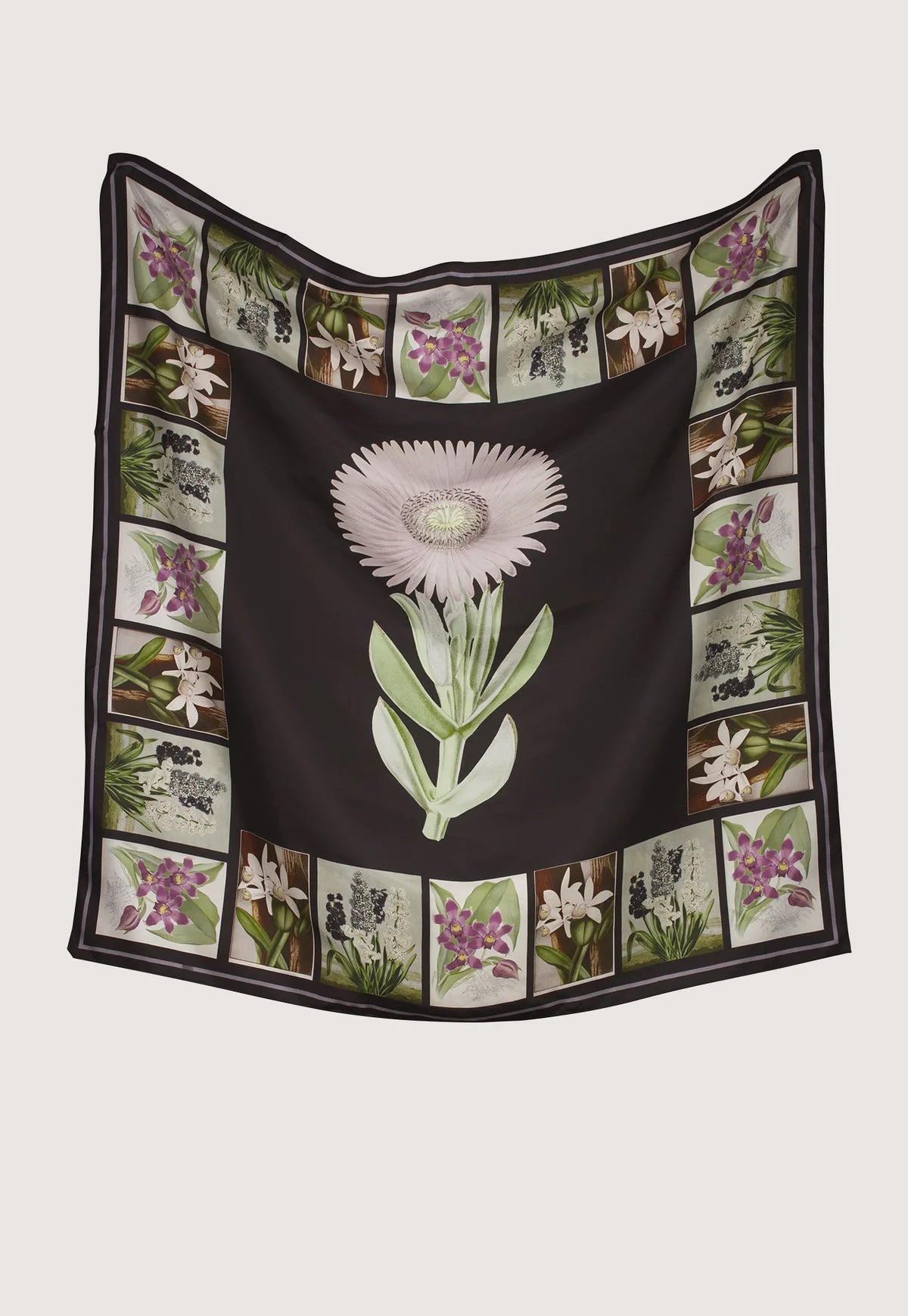 A square silk scarf featuring a central black field with a large pale pink and green flower, surrounded by a border of small botanical illustrations, Nancybird charcoal archive floral print.