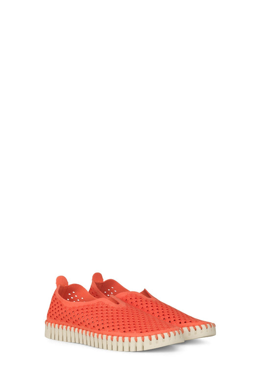 Ilse Jacobsen Tulip shoes in Raspberry bright pink orange.
